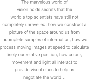
The marvelous world of vision holds secrets that the world’s top scientists have still not completely unravelled: how we construct a picture of the space around us from incomplete samples of information; how we process moving images at speed to calculate finely our relative position; how colour, movement and light all interact to provide visual clues to help us negotiate the world…
